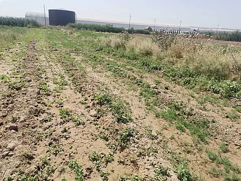 Satılır torpaq sahəsi 100 m² — Bakı, Maştağa 100.00 m²