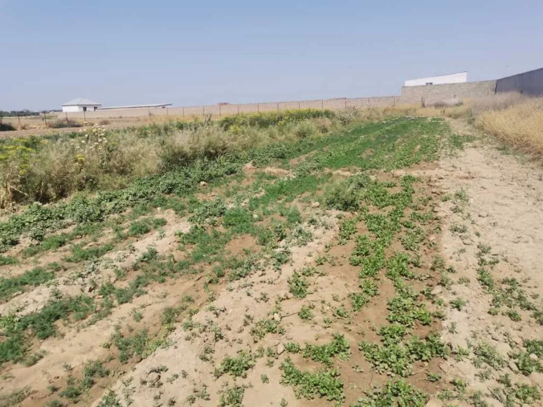 Satılır torpaq sahəsi 100 m²