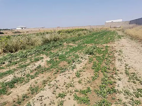 Satılır torpaq sahəsi 100 m²