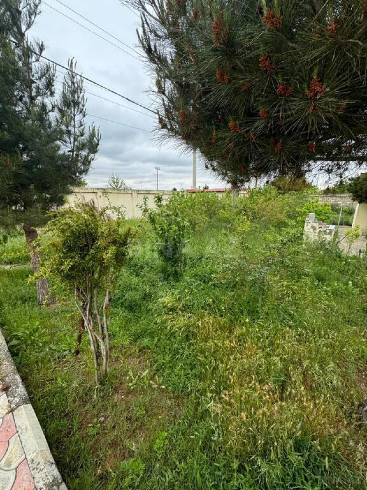 Satılır 5 otaqlı həyət evi 350 m²