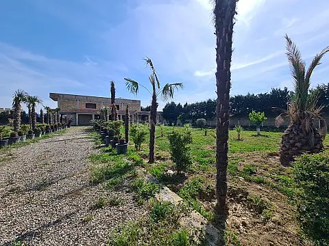 Satılır torpaq sahəsi 70 m²