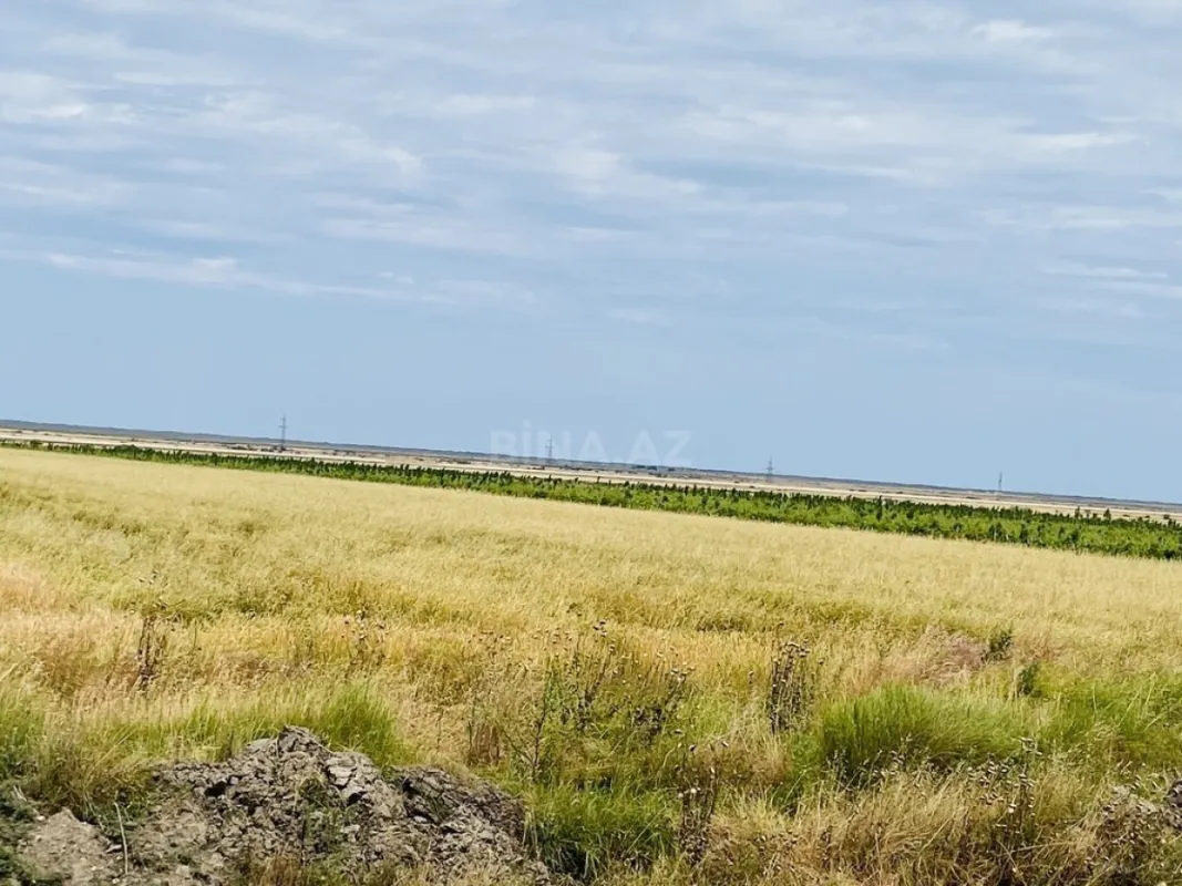 Satılır torpaq sahəsi 16000 m²