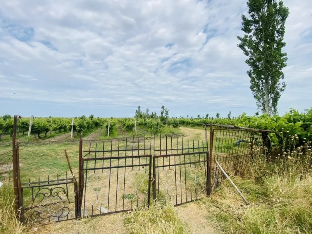 Satılır torpaq sahəsi 16000 m²