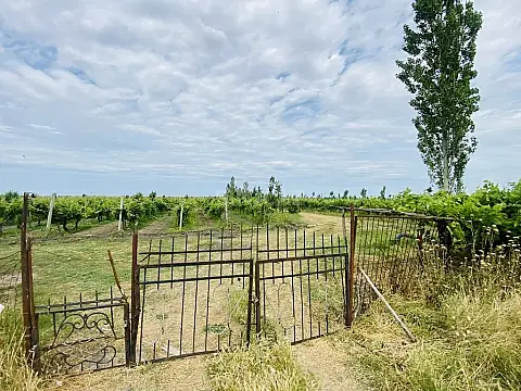 Satılır torpaq sahəsi 16000 m²