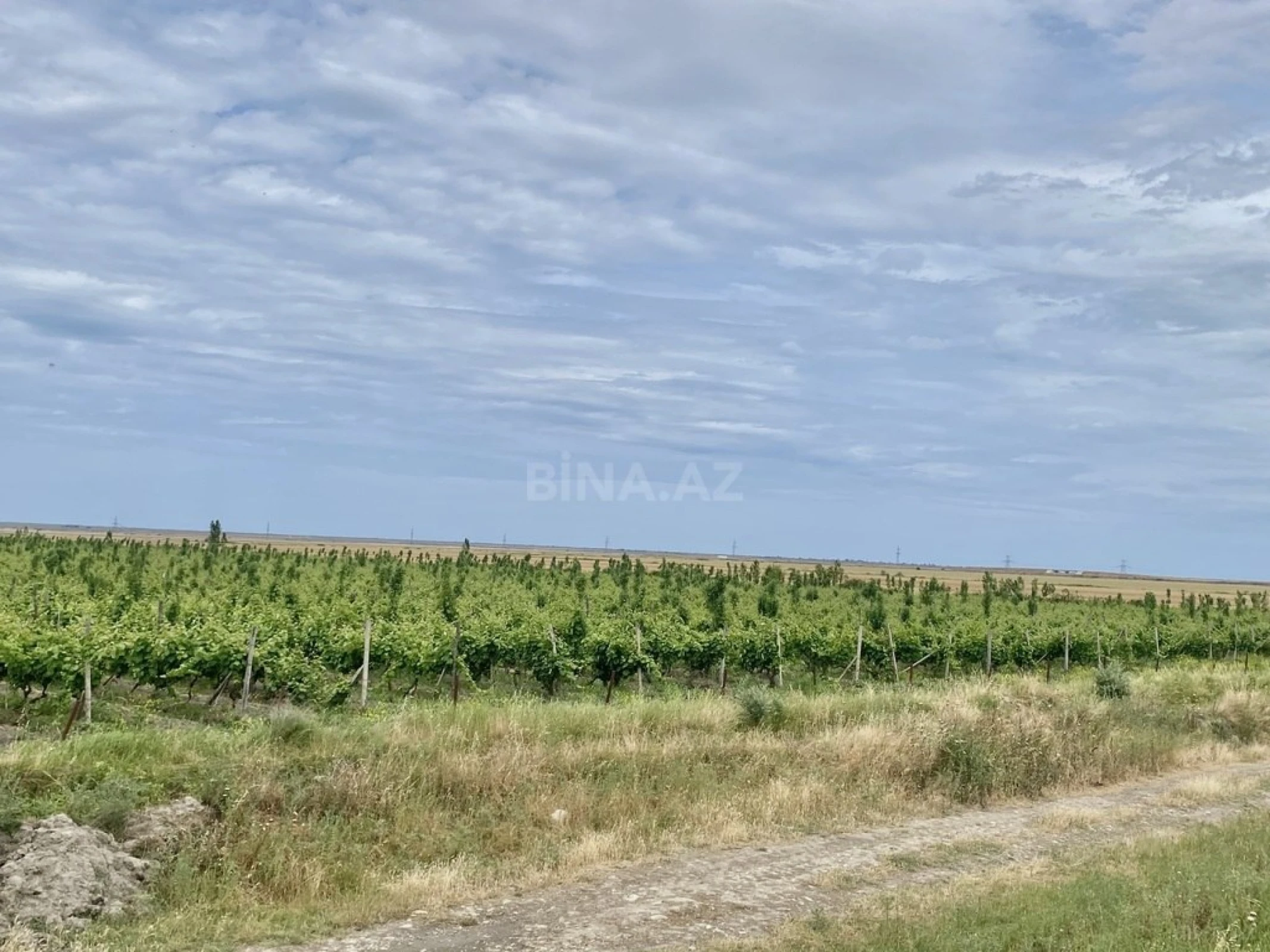 Satılır torpaq sahəsi 16000 m²