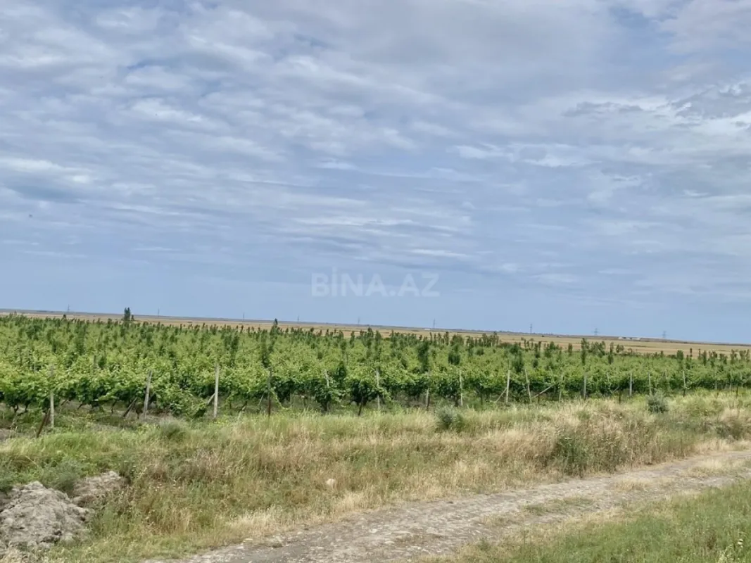 Satılır torpaq sahəsi 16000 m²