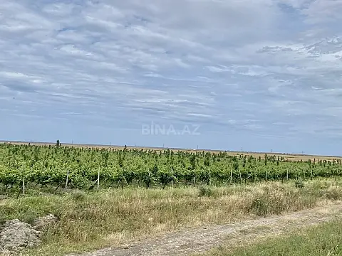 Satılır torpaq sahəsi 16000 m²