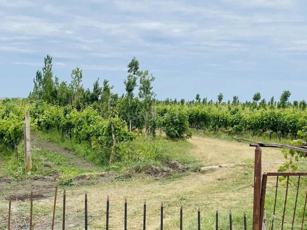 Satılır torpaq sahəsi 16000 m²