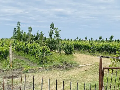 Satılır torpaq sahəsi 16000 m²