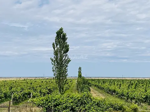 Satılır torpaq sahəsi 16000 m² — Şabran 16000.00 m²