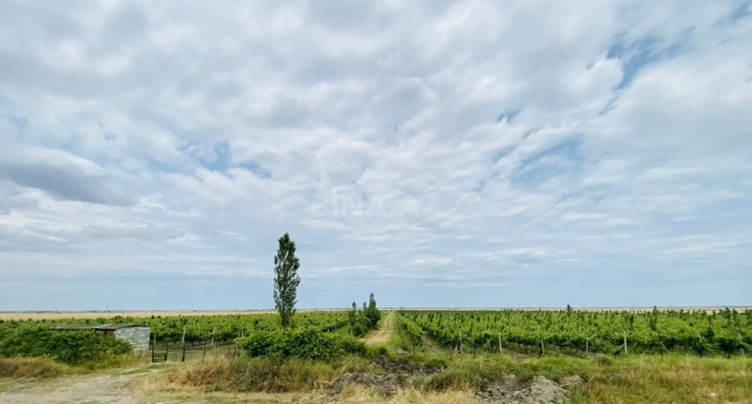 Satılır torpaq sahəsi 16000 m²