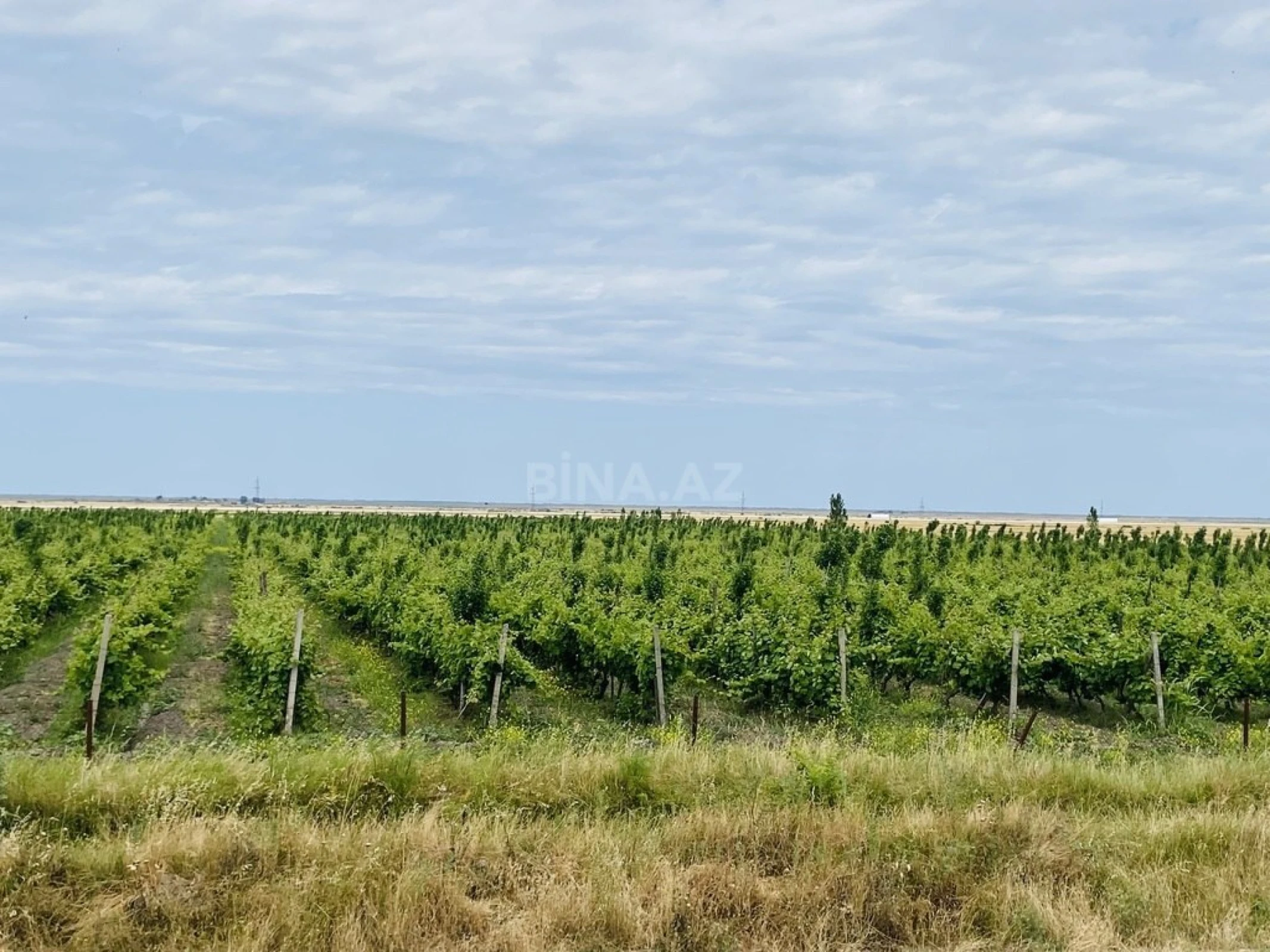 Satılır torpaq sahəsi 16000 m²