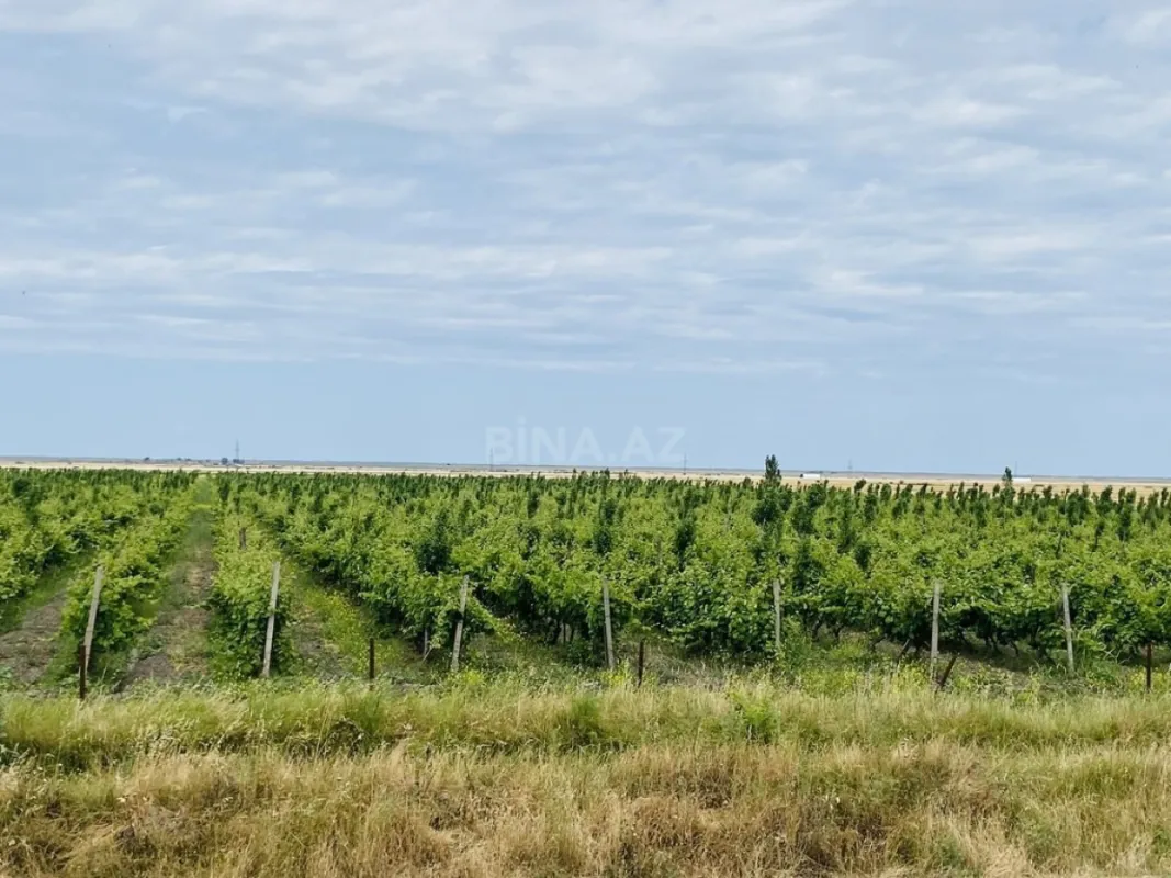 Satılır torpaq sahəsi 16000 m²