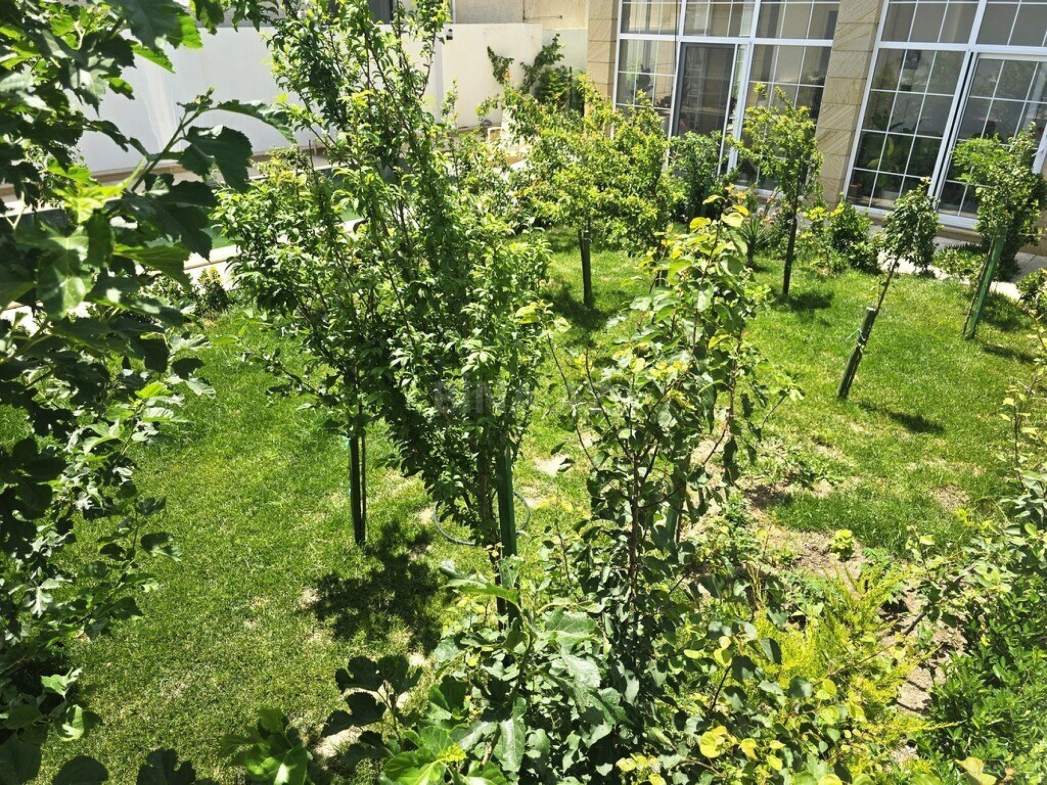 Satılır 6 otaqlı həyət evi 600 m²