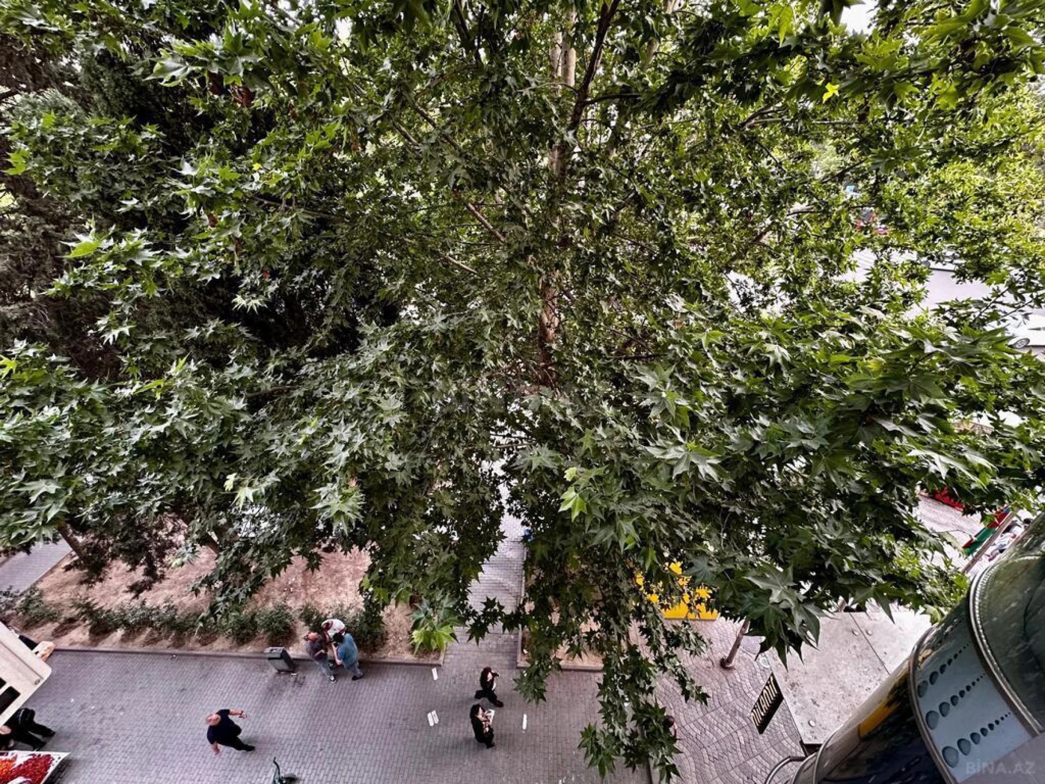 Satılır 2 otaqlı mənzil 116 m²