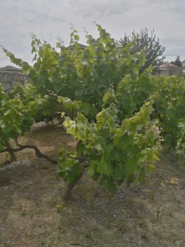 Satılır torpaq sahəsi 12 m²