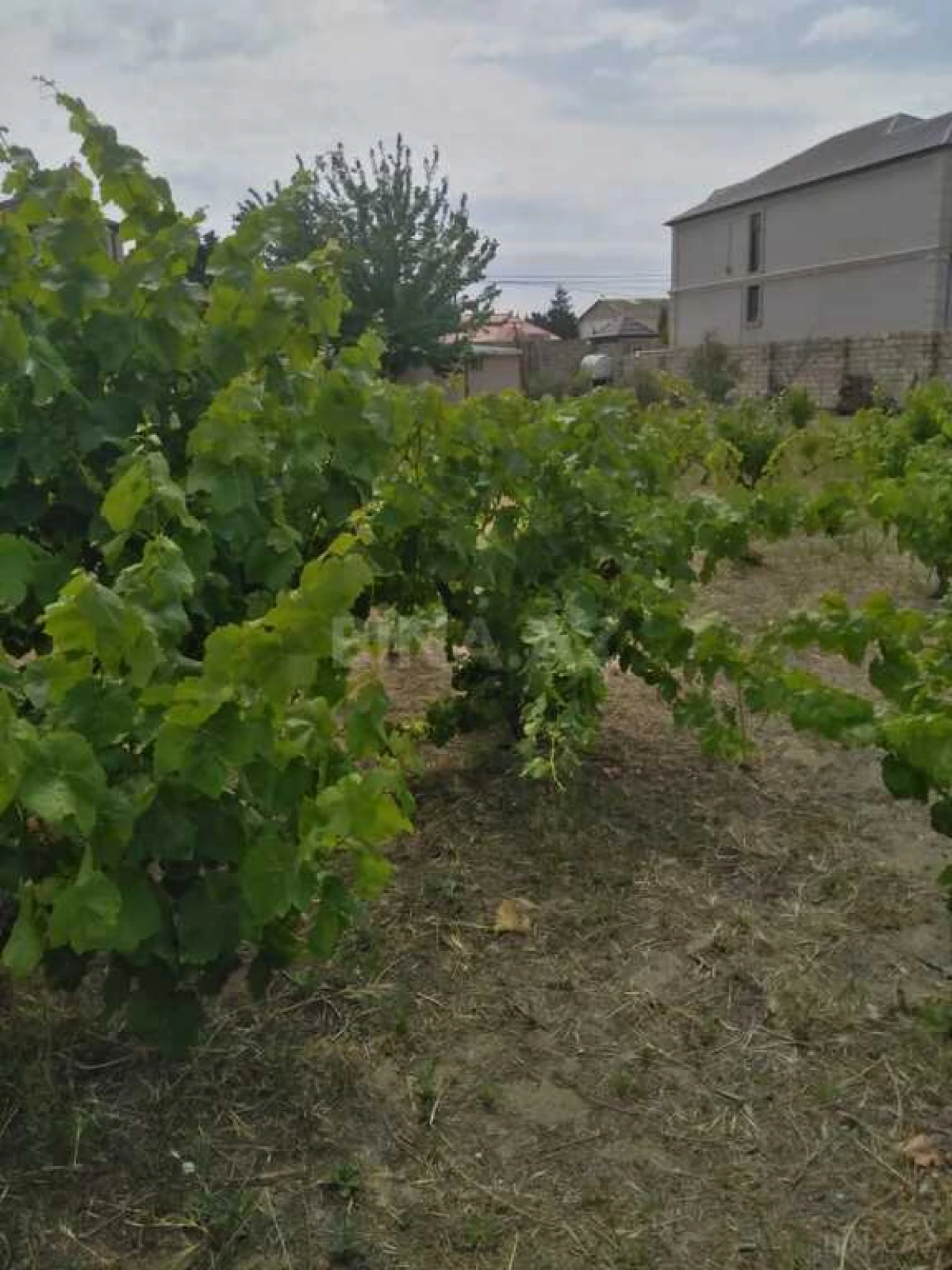 Satılır torpaq sahəsi 12 m²