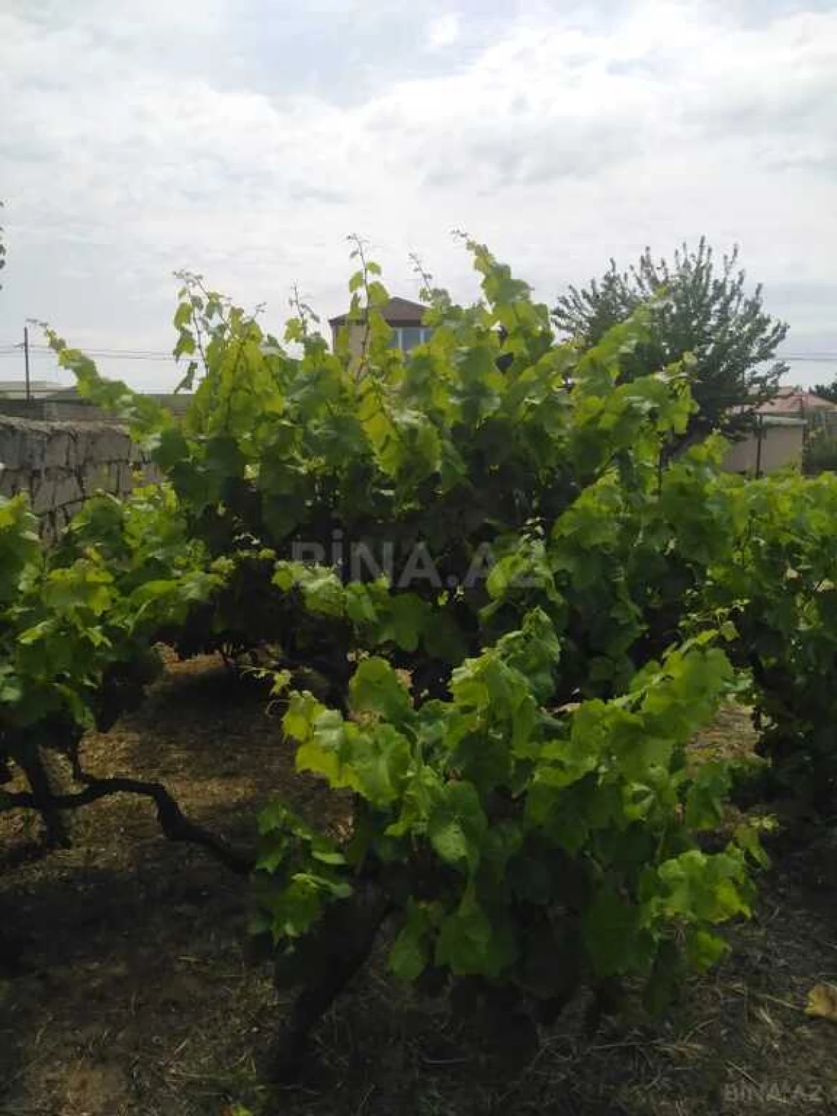 Satılır torpaq sahəsi 12 m²