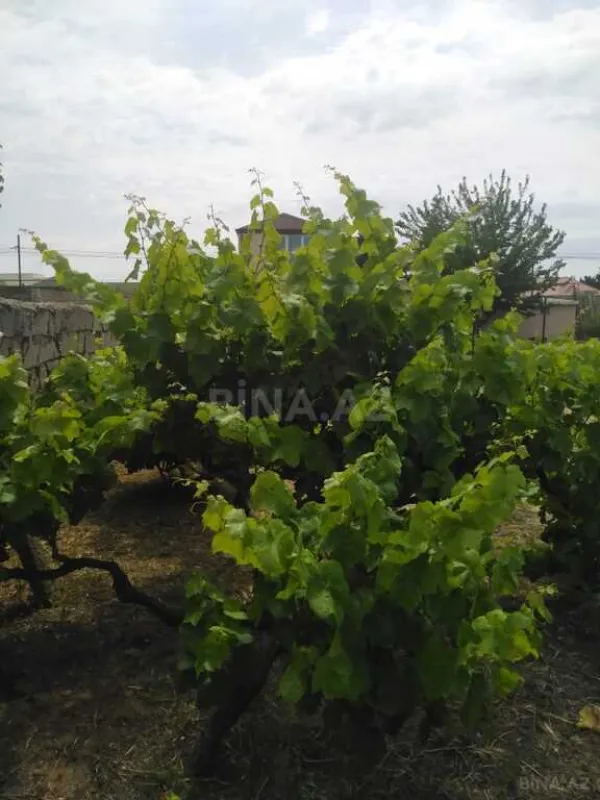 Satılır torpaq sahəsi 12 m²