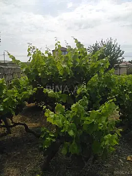 Satılır torpaq sahəsi 12 m²