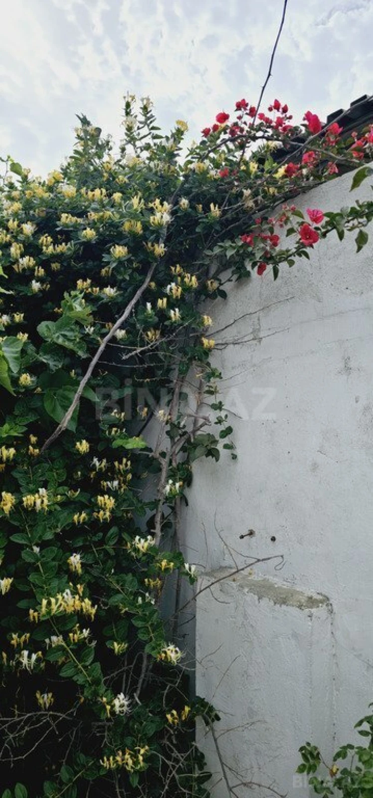 Satılır 4 otaqlı həyət evi 110 m²