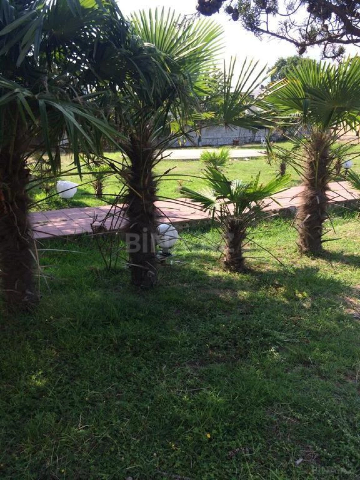 Satılır obyekt 557 m²