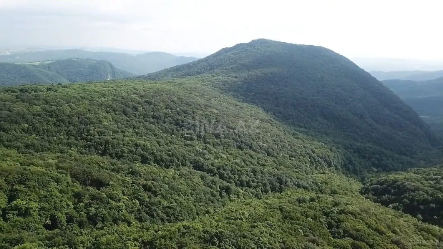 Kirayə verilir 4 otaqlı həyət evi 130 m²