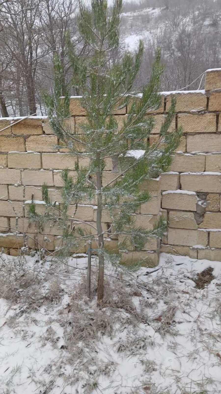 Kirayə verilir 3 otaqlı həyət evi 100 m²