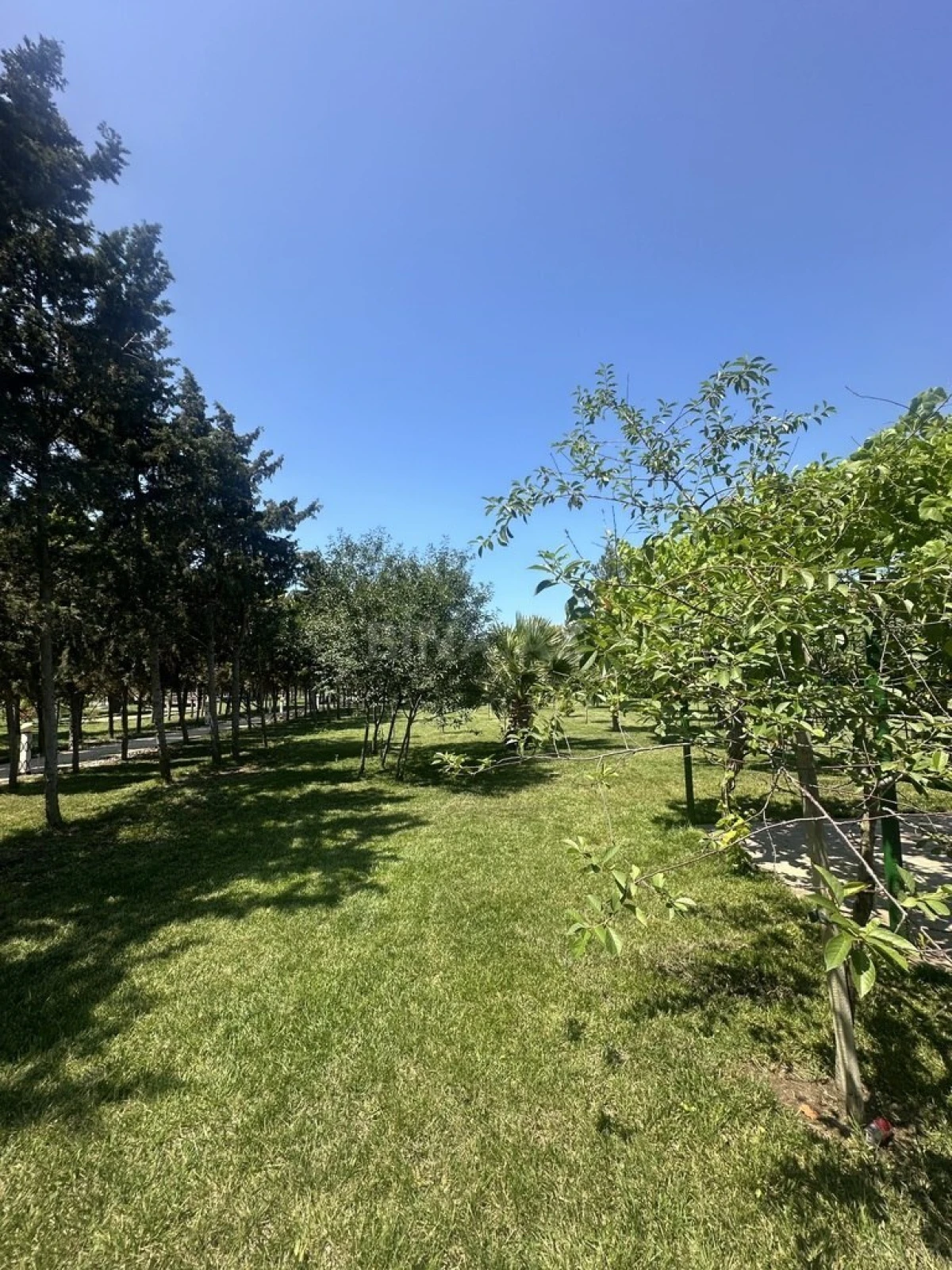 Satılır torpaq sahəsi 6 m²