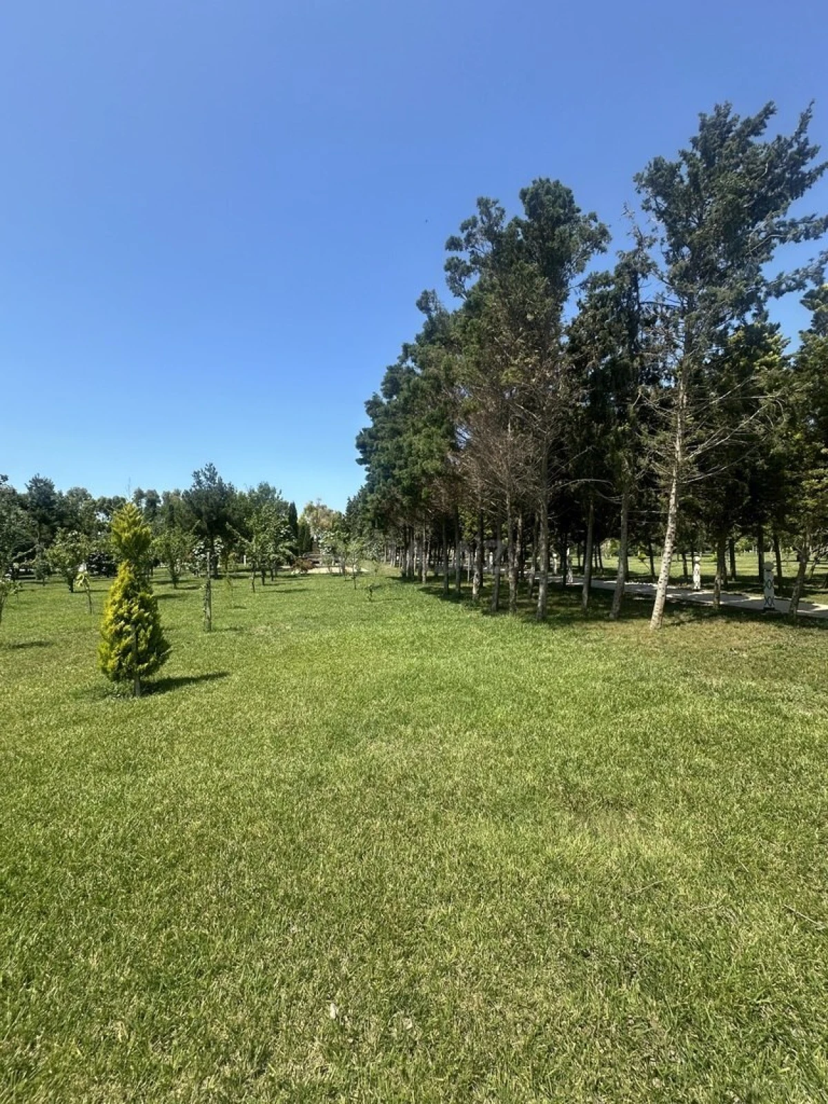 Satılır torpaq sahəsi 6 m²