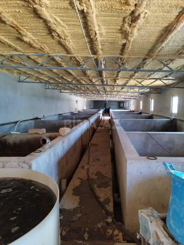 Kirayə verilir obyekt 10000 m²