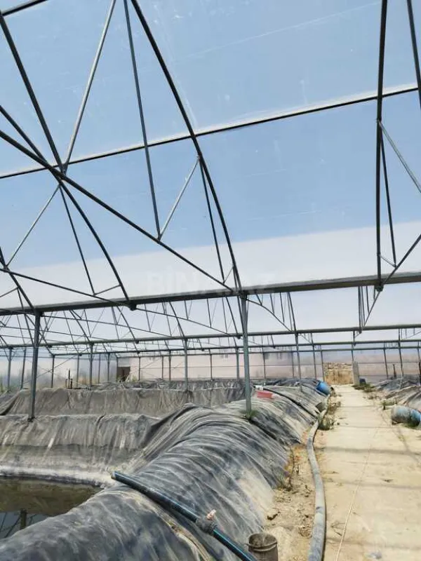 Kirayə verilir obyekt 10000 m²