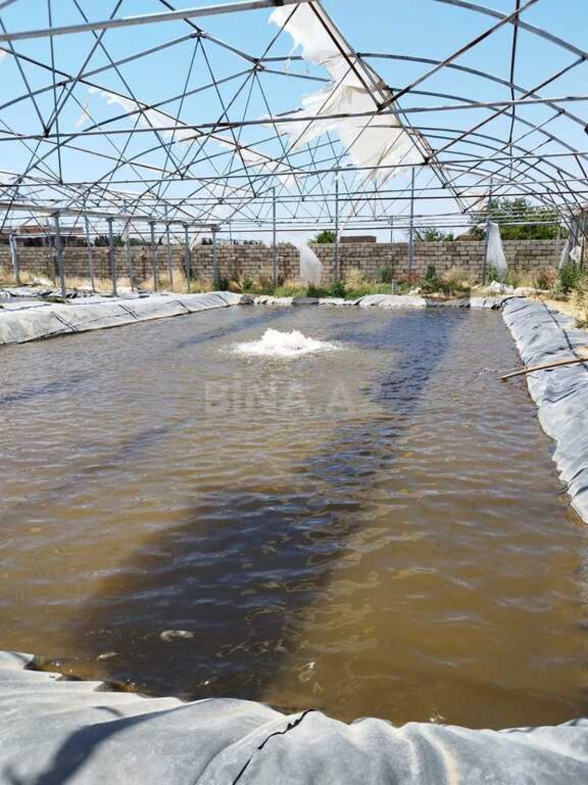 Kirayə verilir obyekt 10000 m²