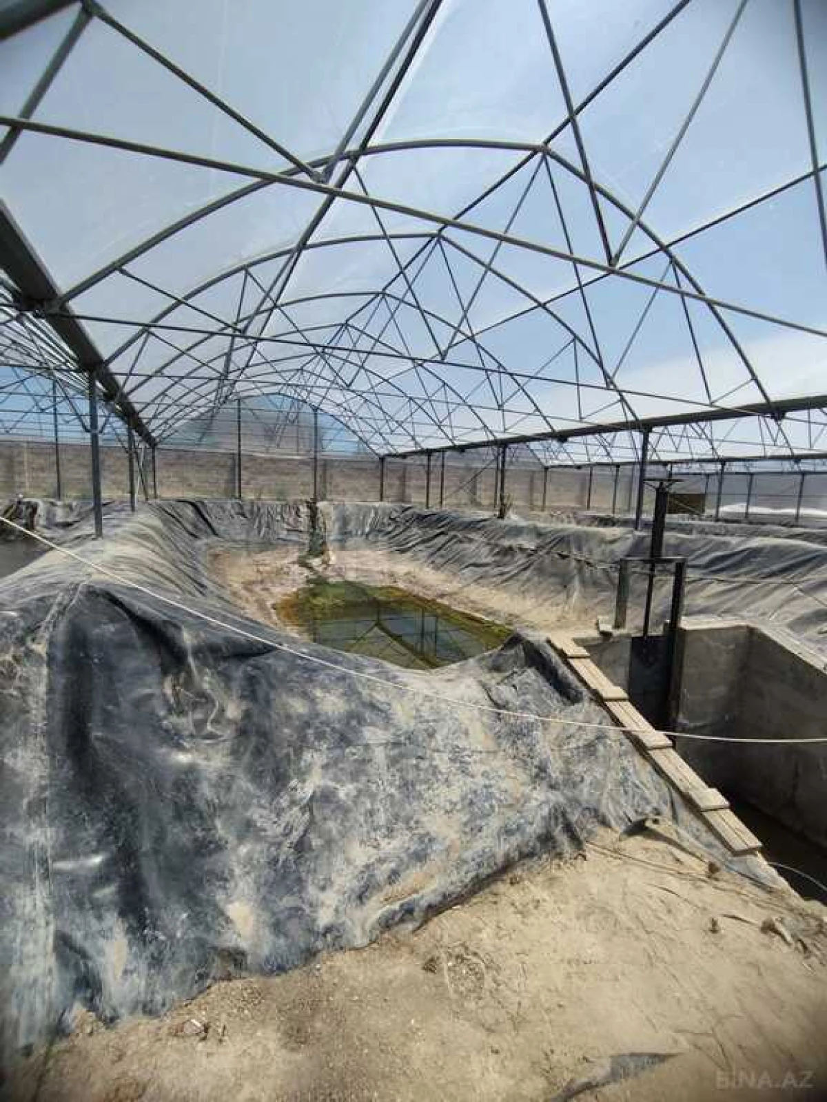 Kirayə verilir obyekt 10000 m²