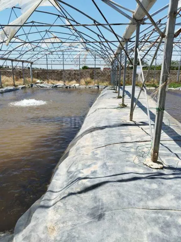 Kirayə verilir obyekt 10000 m²