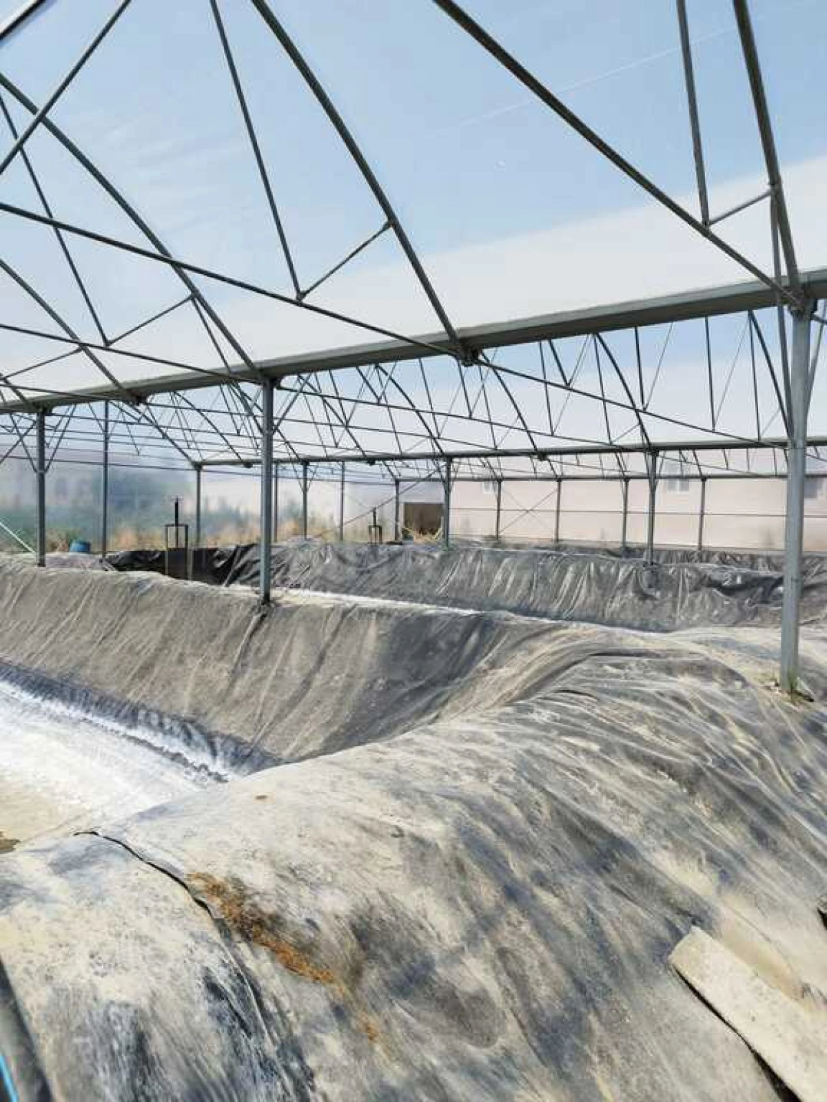 Kirayə verilir obyekt 10000 m²