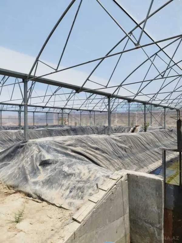 Kirayə verilir obyekt 10000 m²