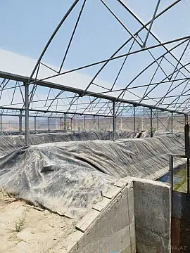 Kirayə verilir obyekt 10000 m²