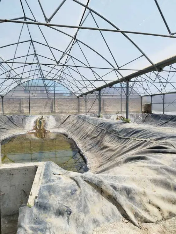 Kirayə verilir obyekt 10000 m²