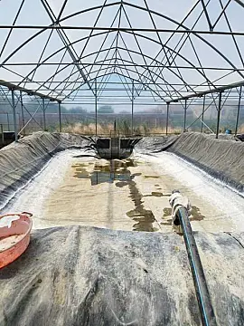 Kirayə verilir obyekt 10000 m²