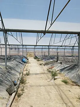 Kirayə verilir obyekt 10000 m²