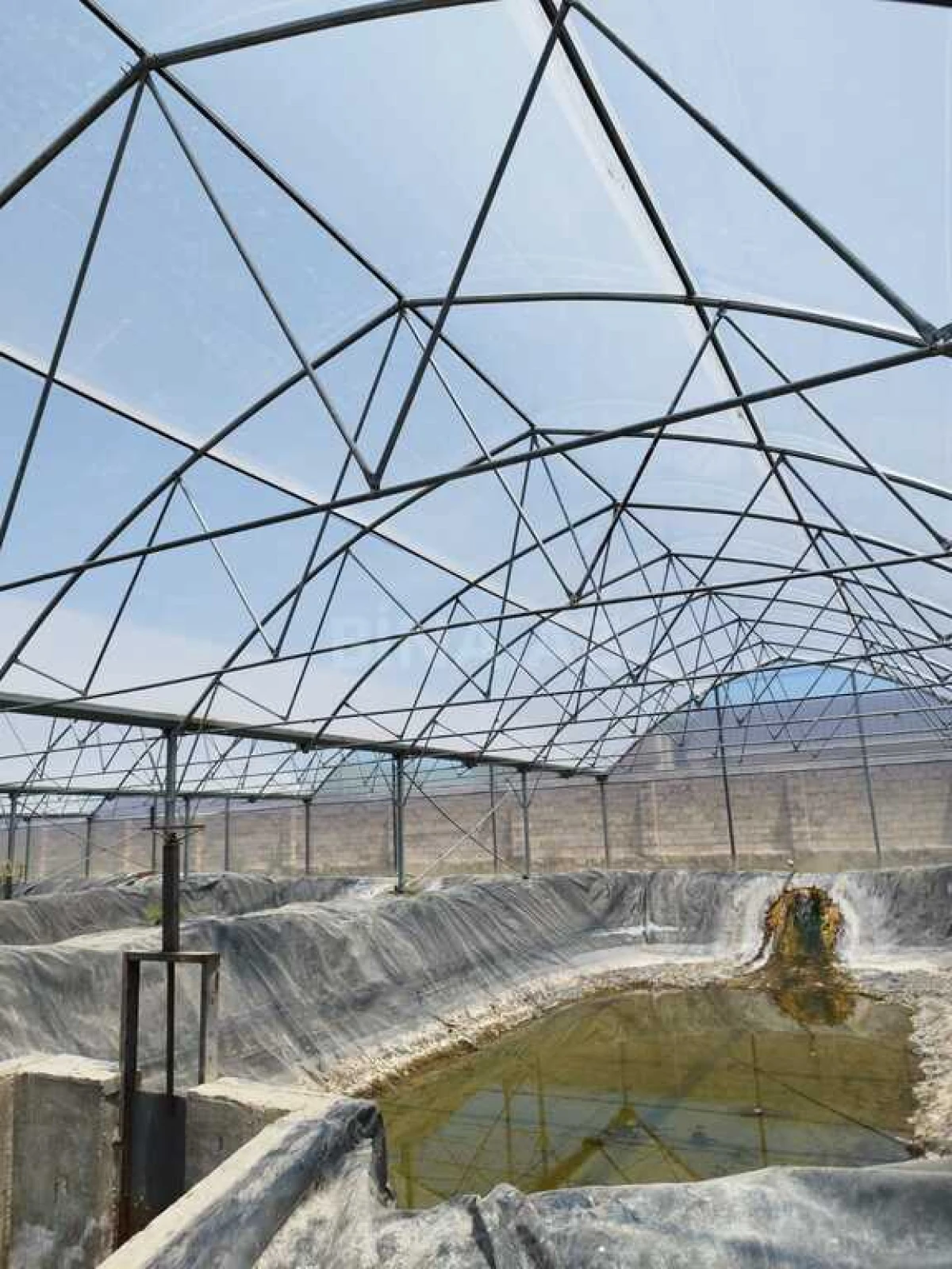 Kirayə verilir obyekt 10000 m²