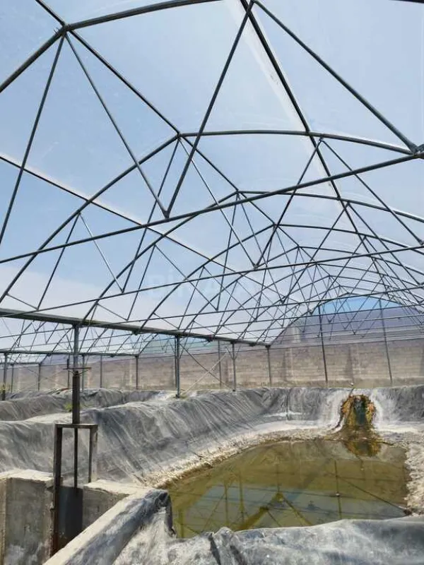 Kirayə verilir obyekt 10000 m²