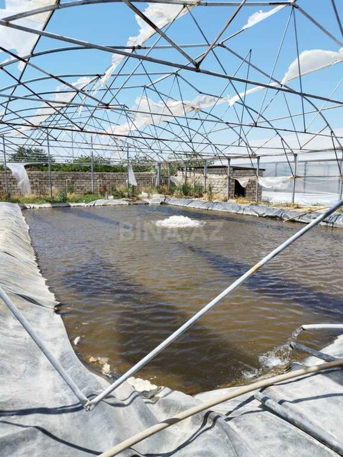 Kirayə verilir obyekt 10000 m²