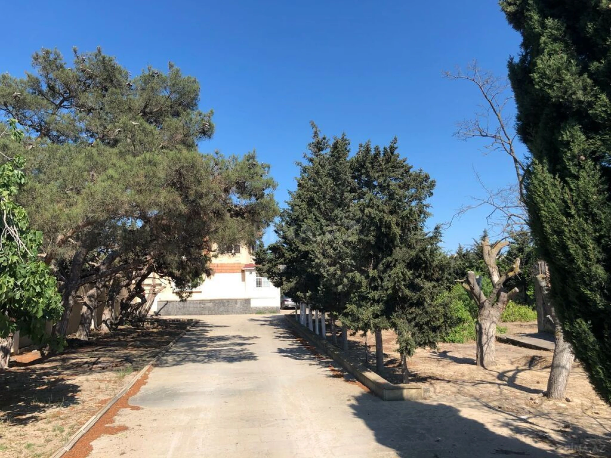 Satılır torpaq sahəsi 35.5 m²