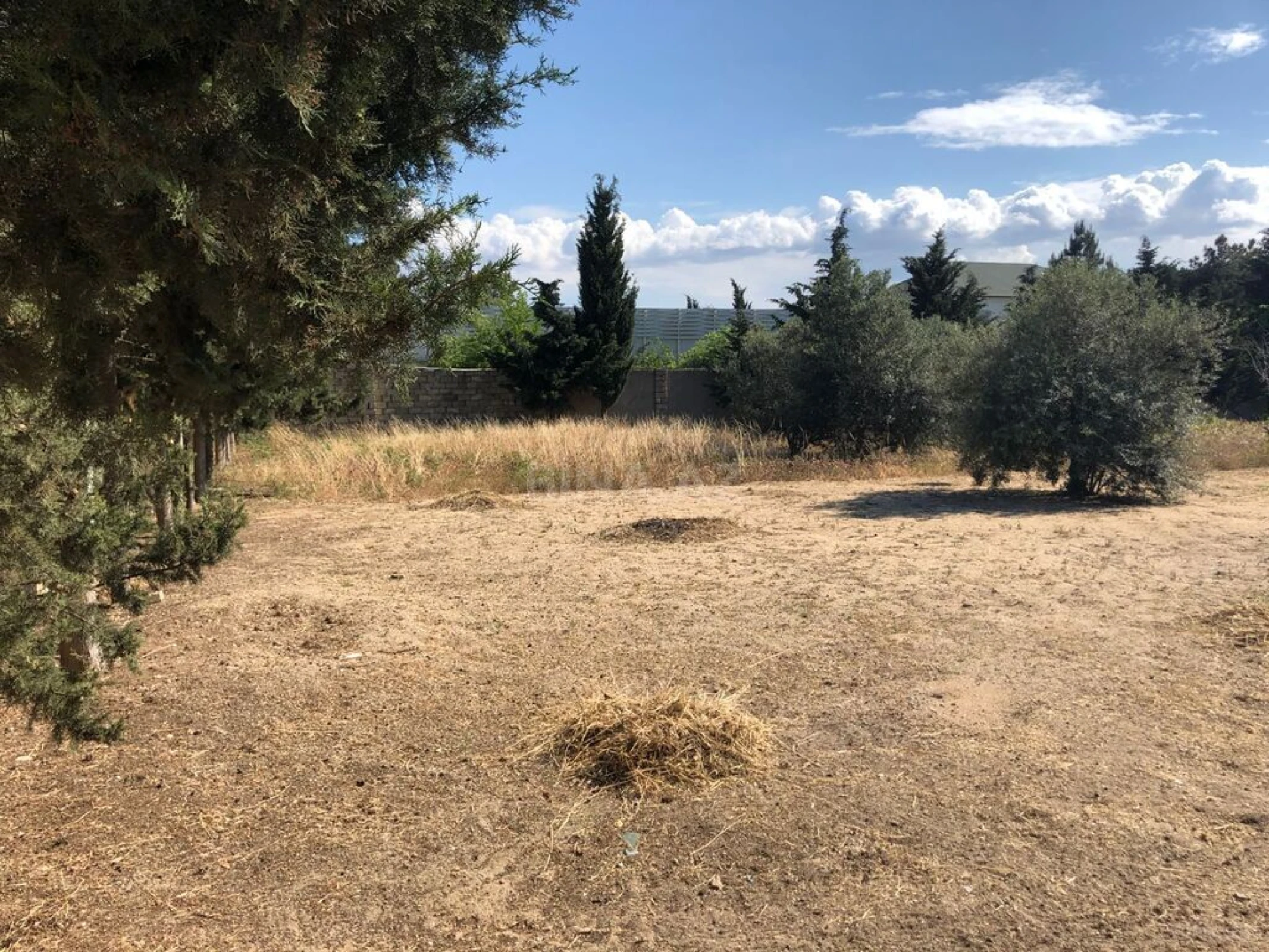 Satılır torpaq sahəsi 35.5 m²