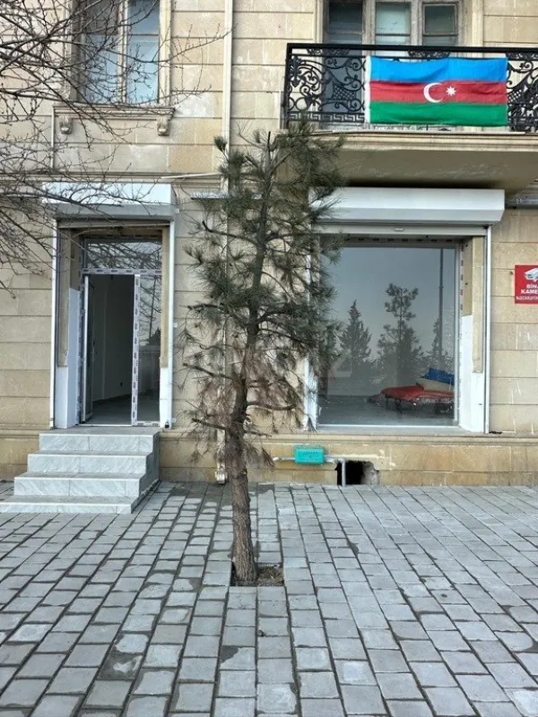 Satılır obyekt 80 m²