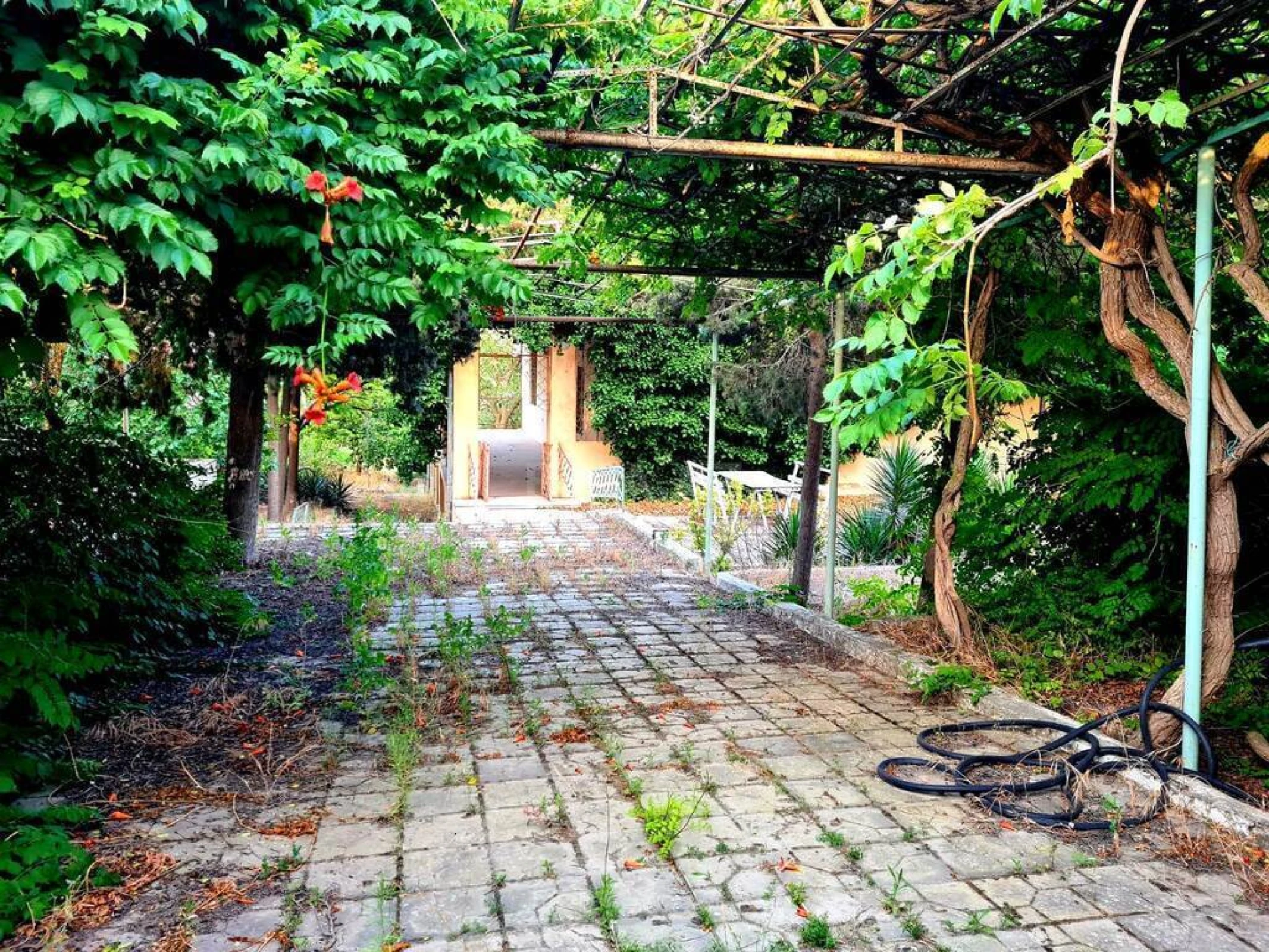 Satılır torpaq sahəsi 23 m²