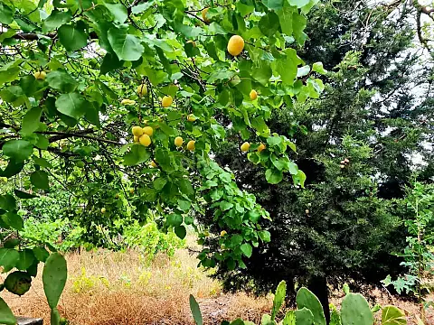 Satılır torpaq sahəsi 23 m²