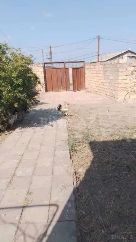 Satılır 2 otaqlı həyət evi 90 m²